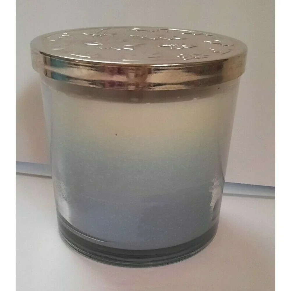 Sonoma Goods For Life Winter Blessings Scent 3 Wick Candle Floral Glass Jar Lid